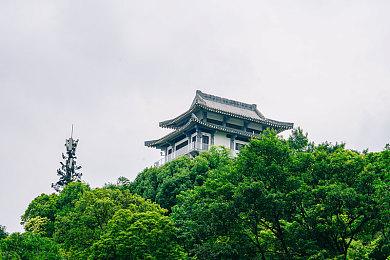 《方舟生存飞升》社区生物投票结果公布，动画皮肤包即将上线